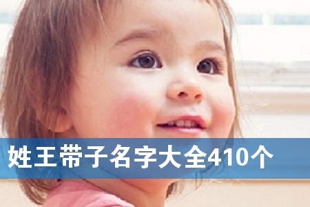 姓王带子名字大全410个