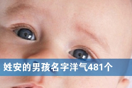 �հ����к���������481��