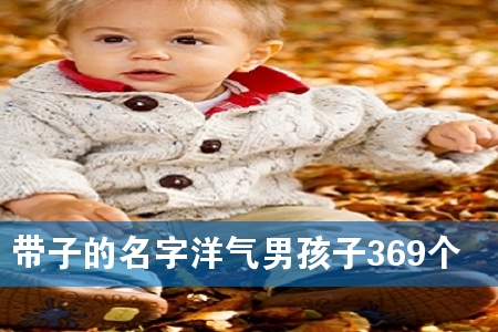 带子的名字洋气男孩子369个