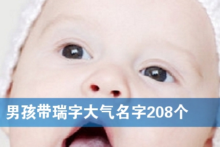 男孩带瑞字大气名字208个