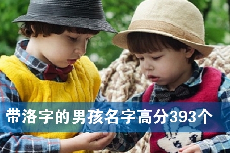 带洛字的男孩名字高分393个