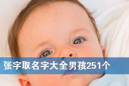 张字取名字大全男孩251个