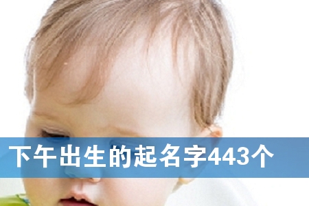 下午出生的起名字443个