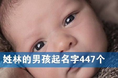 ���ֵ��к�������447��