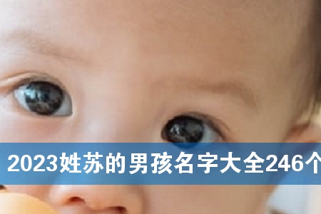 2023姓苏的男孩名字大全246个