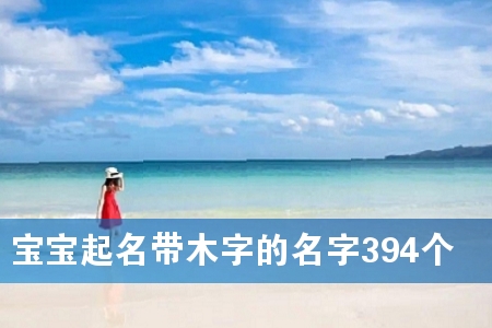 宝宝起名带木字的名字394个