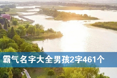 霸气名字大全男孩2字461个