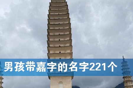 男孩带嘉字的名字221个