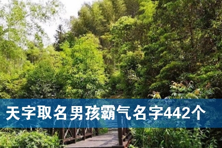 天字取名男孩霸气名字442个