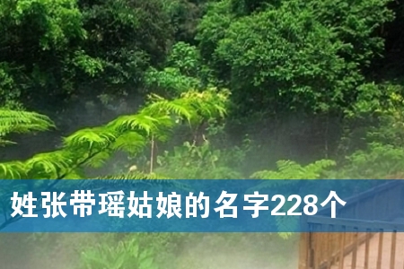 姓张带瑶姑娘的名字228个
