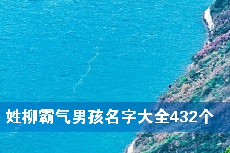 姓柳霸气男孩名字大全432个