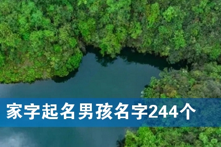 家字起名男孩名字244个
