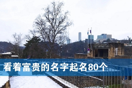 看着富贵的名字起名80个