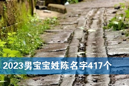 2023男宝宝姓陈名字417个