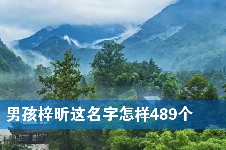 男孩梓昕这名字怎样489个