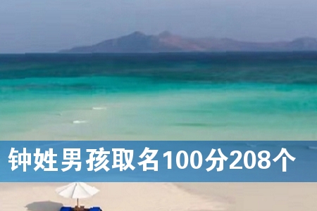 钟姓男孩取名100分208个
