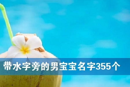 带水字旁的男宝宝名字355个