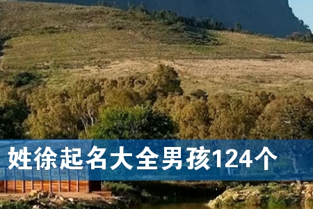 姓徐起名大全男孩124个