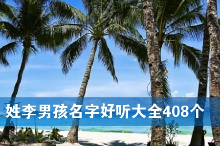 姓李男孩名字好听大全408个