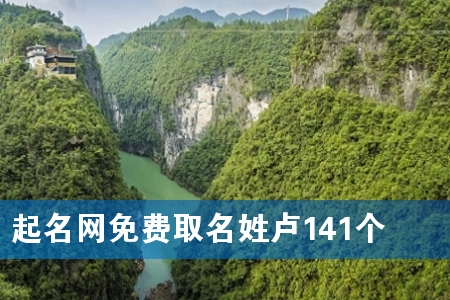起名网免费取名姓卢141个