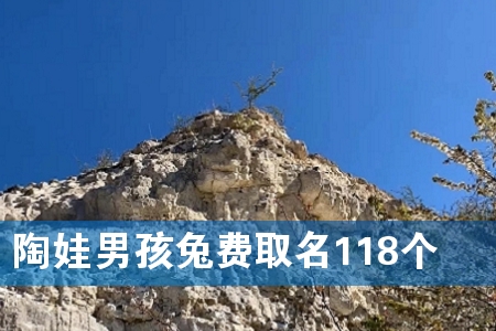 陶娃男孩兔费取名118个