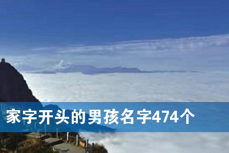 家字开头的男孩名字474个
