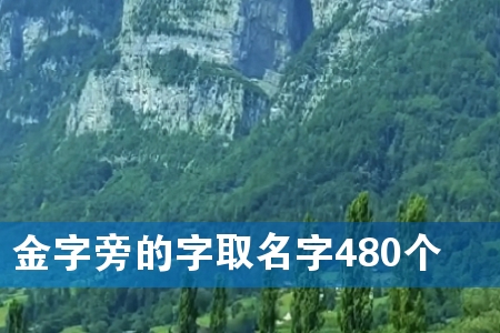金字旁的字取名字480个