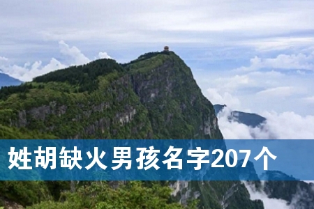 姓胡缺火男孩名字207个