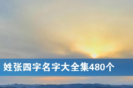 姓张四字名字大全集480个