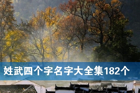姓武四个字名字大全集182个