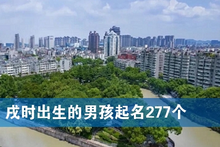 戌时出生的男孩起名277个