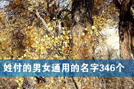 姓付的男女通用的名字346个