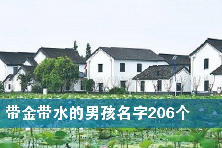 �����ˮ���к�����206��