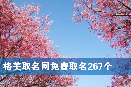 格美取名网免费取名267个