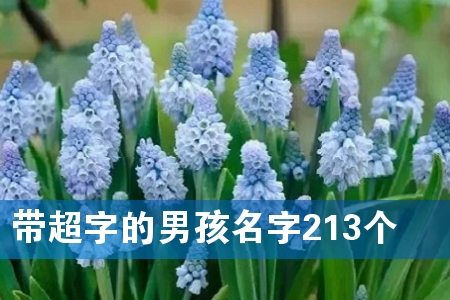 带超字的男孩名字213个
