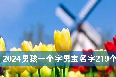 2024男孩一个字男宝名字219个