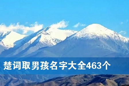 楚词取男孩名字大全463个