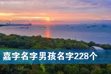 嘉字名字男孩名字228个