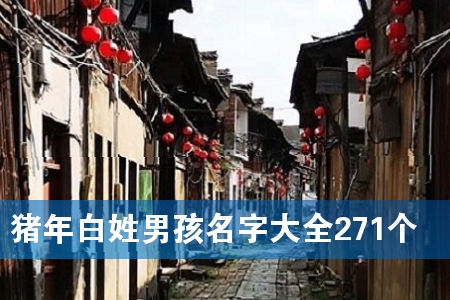 猪年白姓男孩名字大全271个