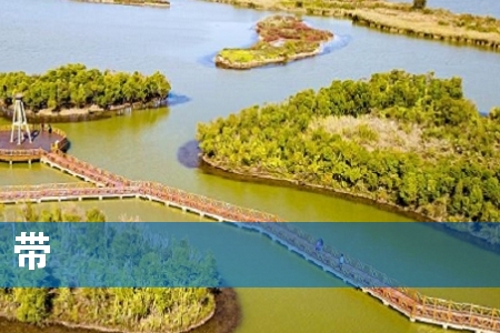 �������к�������217��