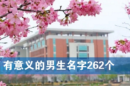 有意义的男生名字262个