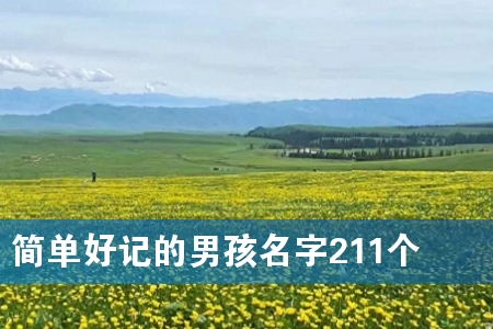简单好记的男孩名字211个