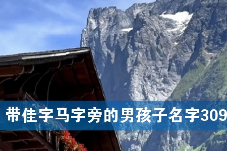 �����������Ե��к�������309��