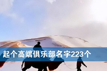 ����߶˾��ֲ�����223��