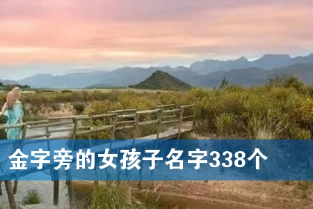 金字旁的女孩子名字338个