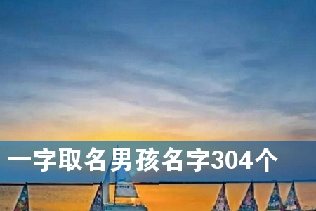 一字取名男孩名字304个