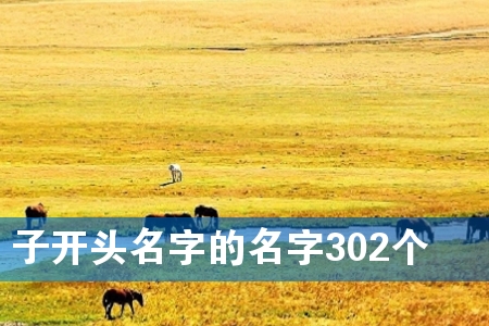 子开头名字的名字302个