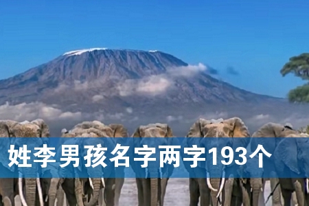 姓李男孩名字两字193个