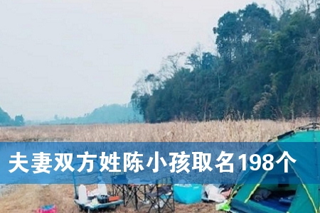 夫妻双方姓陈小孩取名198个