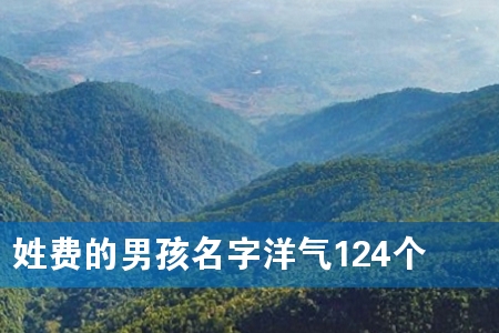 姓费的男孩名字洋气124个